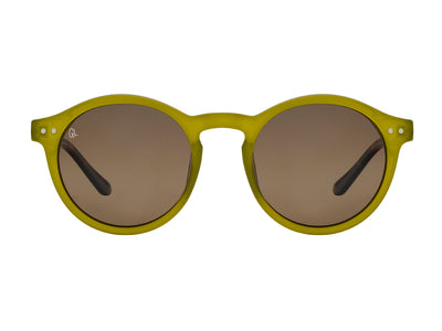 Sunglasses Polarised 'Robbie' Olive/Tortoiseshell